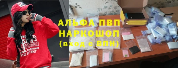 стаф Пересвет