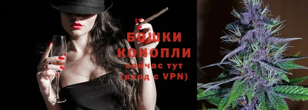 стаф Пересвет