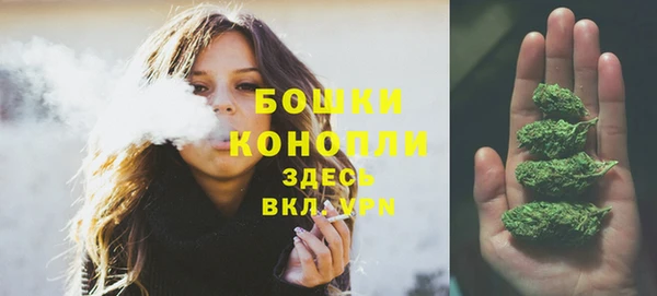стаф Пересвет
