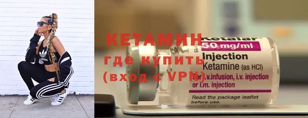 стаф Пересвет
