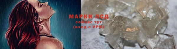 стаф Пересвет