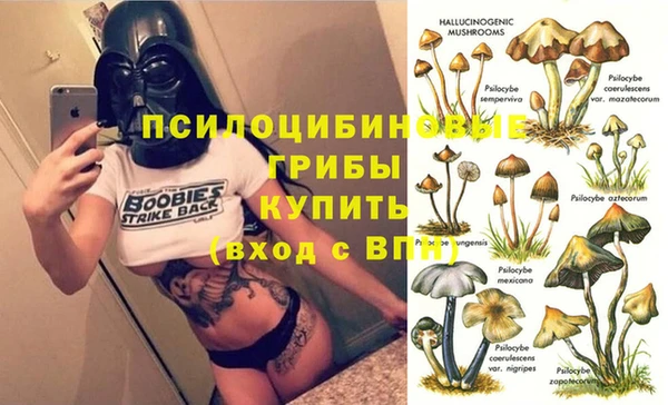 СК Пестово