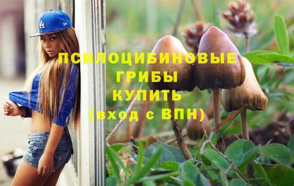 шишки Покачи