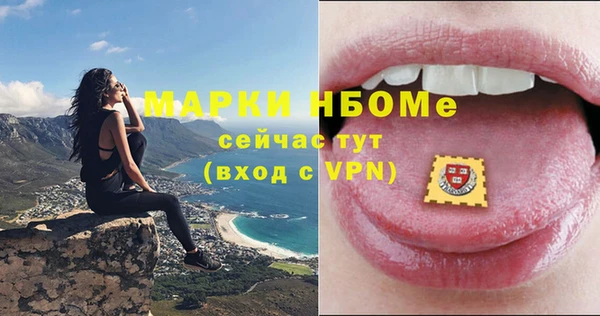 стаф Пересвет