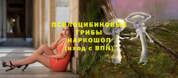 шишки Покачи