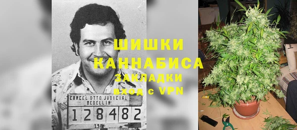 шишки Покачи