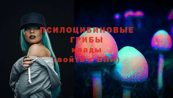 СК Пестово