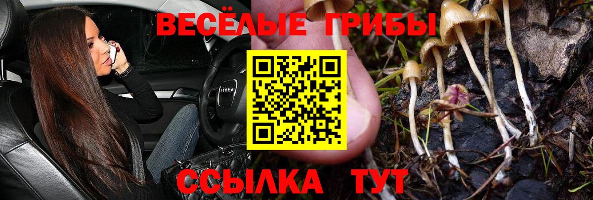 Нягань  Галлюциногенные грибы Psilocybine cubensis  Вход с VPN 